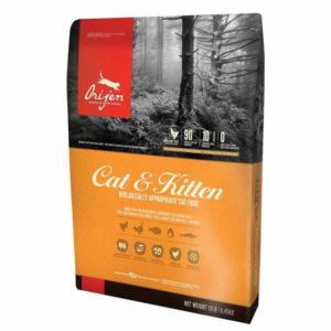 ok feed cat food