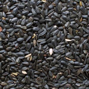 Black Oil Sunflower Wild Bird Food